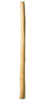 Medium Size Natural Finish Didgeridoo (TW784)